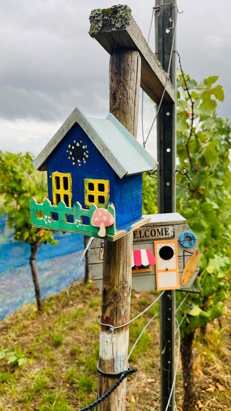 22-09-10 17-47-44 1966.jpeg